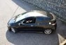 Honda Civic Type R: Se srdcem Jacka Russella
