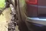 Fiat Fullback: Dělník se smyslem pro humor