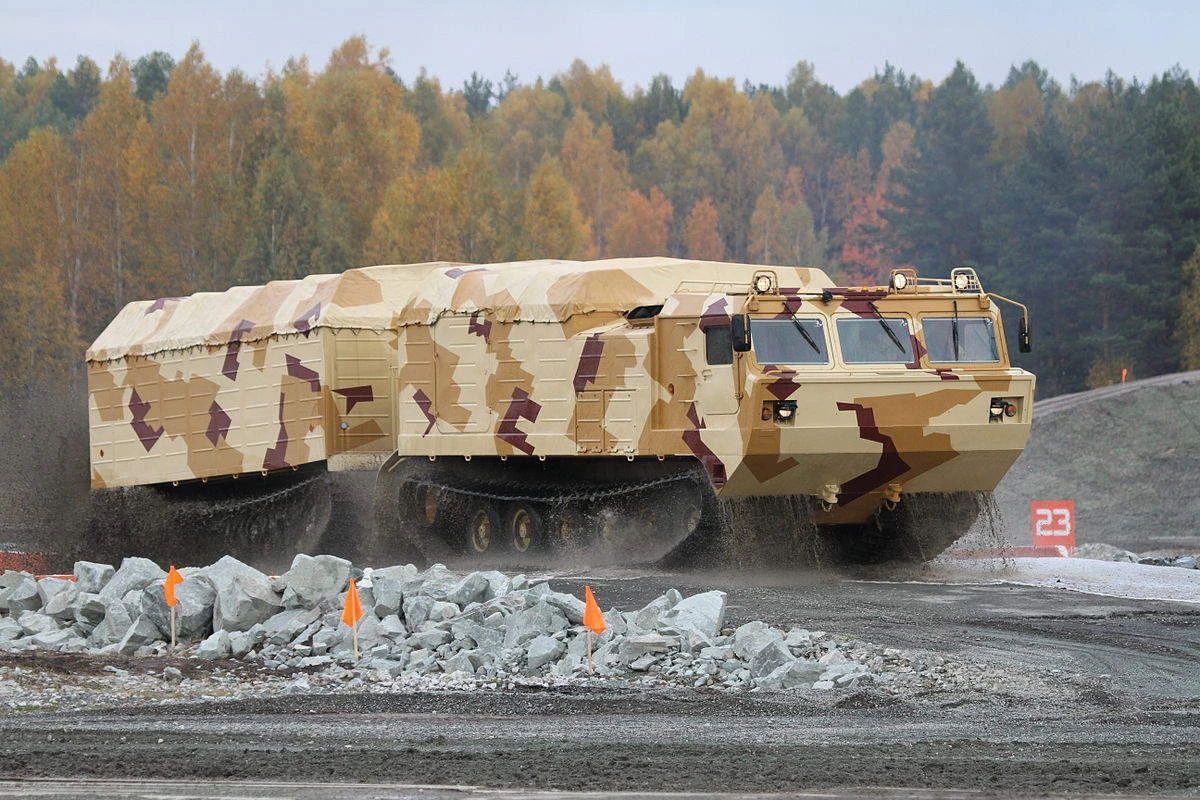 DT-30 Viťjaz