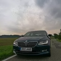 Škoda Superb 2.0 TDI 4x4 DSG - Flotilová pomsta