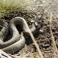 Lužická jezera v domě na čtyřech kolech