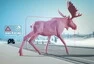 Asistenty umí zabránit srážce s autem, chodcem i zvířetem. Ale nedělají z nás horší řidiče?