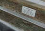 Muzeum Mazd podivných i úžasných
