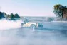 Caterham má nový rekord – nejvíc dotočených donutů za jednu minutu