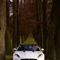 Jaguar F-type 2.0: Rocker hraje unplugged