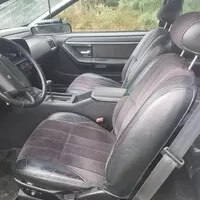 Americký snílek: zapadlé poklady české inzerce