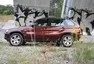 BMW X5 4.4i: Sen manželky vlivného kmotra