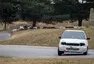 První Autíčkářův trackday 2018: Drama v ledovém království