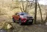 Toyota Hilux 2.4 D-4D: Osmé vtělení Trucka Norrise
