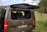 Peugeot Traveller 2.0 HDi 4x4 Dangel: Rallye dodávka