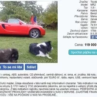 Autíčkář na lovu: Zábava za 100 tisíc