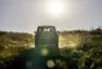 Jeep Renegade Trailhawk: Malej, ale šikovnej