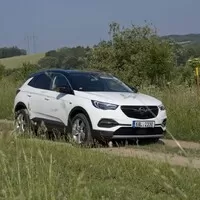 Opel Grandland X 1.2: Eintopf z žabích stehýnek