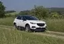 Opel Grandland X 1.2: Eintopf z žabích stehýnek