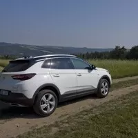 Opel Grandland X 1.2: Eintopf z žabích stehýnek