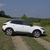 Opel Grandland X 1.2: Eintopf z žabích stehýnek