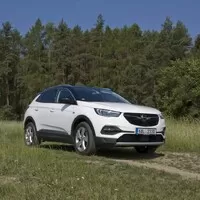 Opel Grandland X 1.2: Eintopf z žabích stehýnek