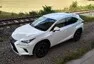 Lexus NX 300h: Protistresové cvičení