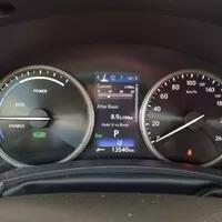 Lexus NX 300h: Protistresové cvičení