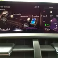 Lexus NX 300h: Protistresové cvičení