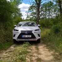 Lexus NX 300h: Protistresové cvičení