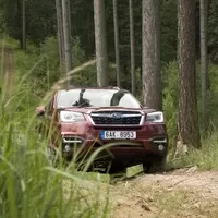 Subaru Forester 2.0i-L: Na nákup, na expedici, kamkoli