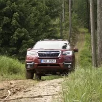 Subaru Forester 2.0i-L: Na nákup, na expedici, kamkoli