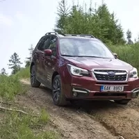 Subaru Forester 2.0i-L: Na nákup, na expedici, kamkoli