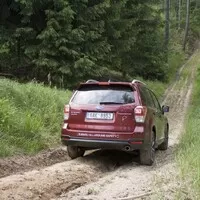 Subaru Forester 2.0i-L: Na nákup, na expedici, kamkoli