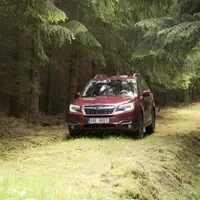 Subaru Forester 2.0i-L: Na nákup, na expedici, kamkoli