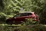 Subaru Forester 2.0i-L: Na nákup, na expedici, kamkoli