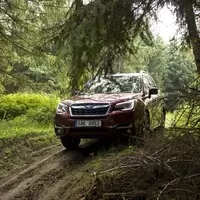 Subaru Forester 2.0i-L: Na nákup, na expedici, kamkoli