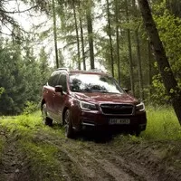 Subaru Forester 2.0i-L: Na nákup, na expedici, kamkoli