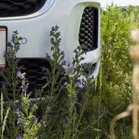 Jaguar E-Pace P250 S: Kočka, nebo kočkopes?