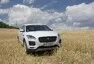 Jaguar E-Pace P250 S: Kočka, nebo kočkopes?