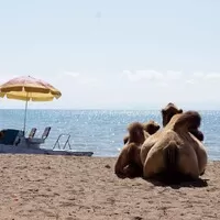 Mongol Rally 2018 část 8. : O placení pokut, kazašském Grand Canyonu a ruské Le Mans