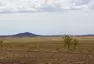 Mongol Rally 2018 část 8. : O placení pokut, kazašském Grand Canyonu a ruské Le Mans