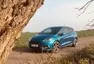 Ford Fiesta ST čili život štěněte