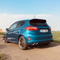 Ford Fiesta ST čili život štěněte