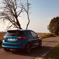 Ford Fiesta ST čili život štěněte
