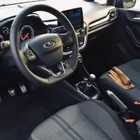 Ford Fiesta ST čili život štěněte