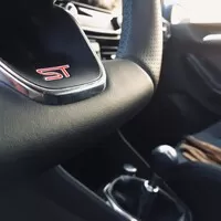 Ford Fiesta ST čili život štěněte