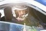 Jaguar Trackday 2018: Krocení divokých šelem