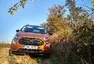 Ford Ecosport 1.5 EcoBlue AWD: Prostě puberťák