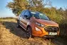 Ford Ecosport 1.5 EcoBlue AWD: Prostě puberťák