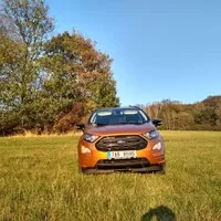 Ford Ecosport 1.5 EcoBlue AWD: Prostě puberťák