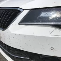 Škoda Superb 2.0 TDI 110kW DSG: Služebák rallyového pisálka