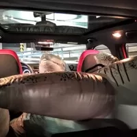 Škoda Fabia Monte Carlo 1.0 TSI 81kW DSG: Kombi se loučí se ctí