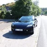 Bazarový snílek: Exoti za pár