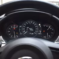 Mazda6 G194AT: Ohrožený druh